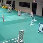 Agility Ring