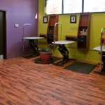 The Green Leaf dog grooming room, complete with state-of-the-art equipment and hypo-allergenic products.