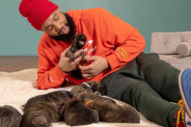Odell beckham jr clearance dog jersey