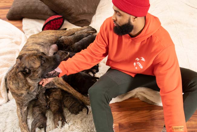 Odell beckham on sale dog jersey