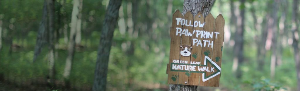 Brown news sign with woods behind